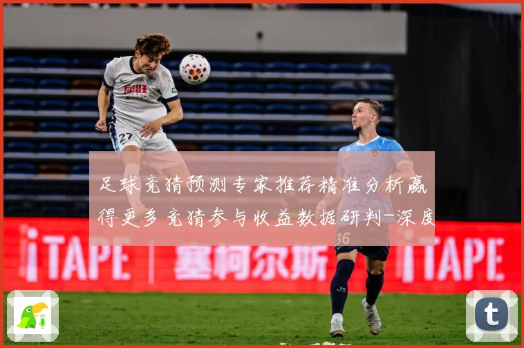足球竞猜预测专家推荐精准分析赢得更多竞猜参与收益数据研判-深度解析
