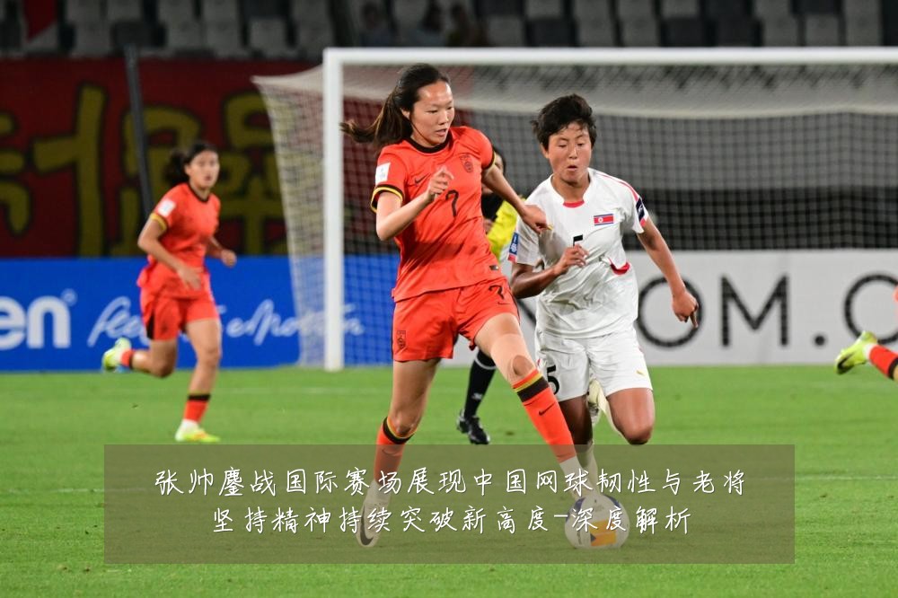 张帅鏖战国际赛场展现中国网球韧性与老将坚持精神持续突破新高度-深度解析