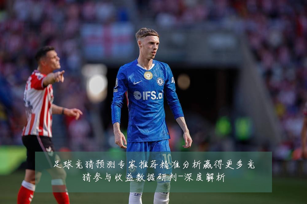 足球竞猜预测专家推荐精准分析赢得更多竞猜参与收益数据研判-深度解析